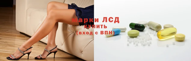 a pvp Магас