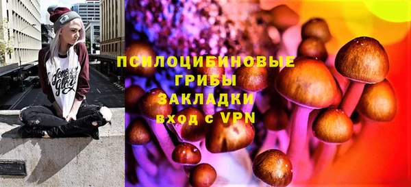 a pvp Магас